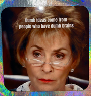 Judge Judy Coaster